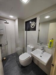 Nouvelle Park (D19), Condominium #589281221